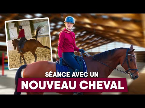 UNE SÉANCE SPORTIVE...commentée en direct ! 🥵🐴 #equitation