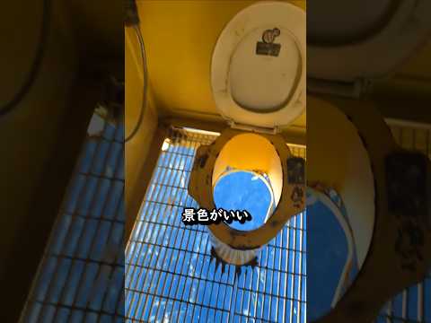 魚が食べるから大丈夫