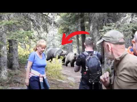 These Hikers Send Heartbreaking Final Text Before Grizzly Bear Attack