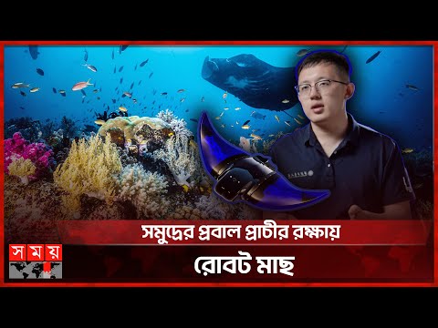 সমুদ্রে ঘুরে বেড়াচ্ছে মাছরূপী রোবট | Reef Saving Robot | China Innovation | Sea Fish | Somoy TV