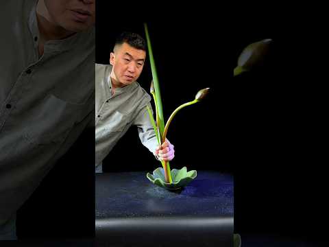 看取蓮花淨,應知不染心。#花藝 #flowermaking