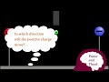 Subatomic Particles and Electric Forces