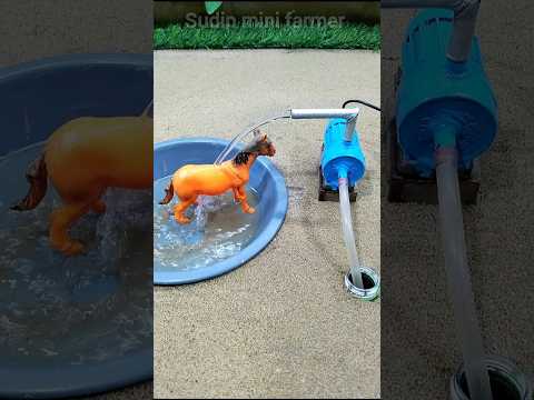 Mini motor water pump science project and mini horse water bath video ๐ # 504