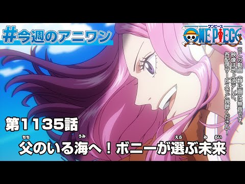 #今週のアニワン　「父のいる海へ！ボニーが選ぶ未来」 ONE PIECE 1135話