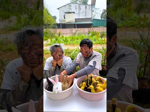 hai anh em trêu chọc nhau siêu dễ thương 🍉🐰🐰🐰🦆🦆🦆😱👶🏻👴 #shorts #cute