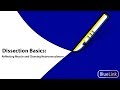 Anatomy Dissection Techniques and Concepts