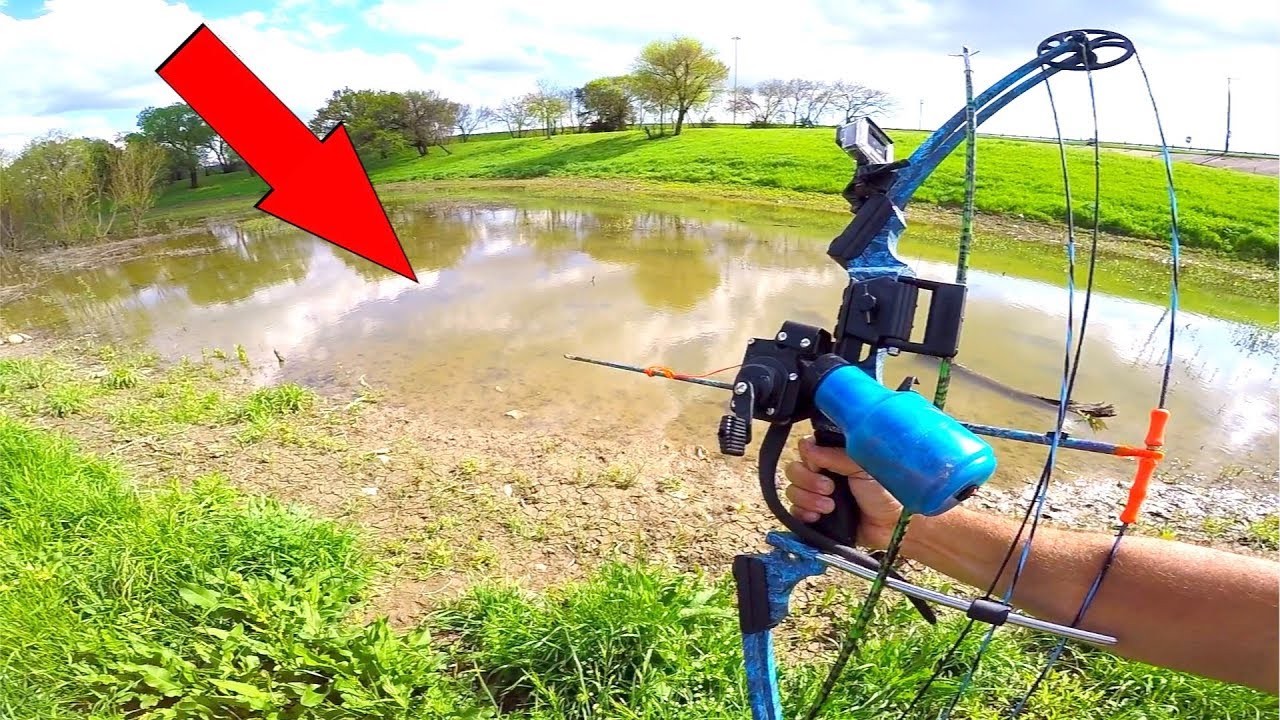Urban Bowfishing TINY Pond (My First Time)