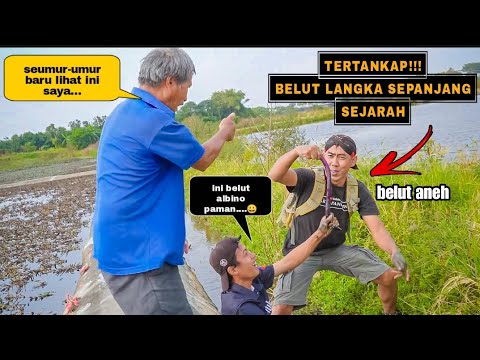 Tertangkap BELUT LANGKA!! Reaksi warga taiwan ikut mancing juga memakan hasil tangkapan