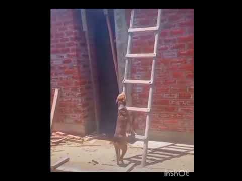 Super very nice ๐ ๐ ๐