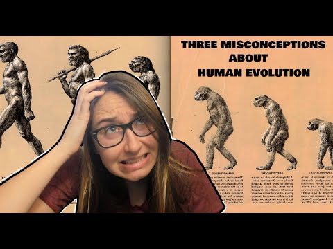 dati/mainpagelinks/Evolution Darwin Origin of species 