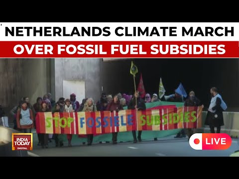 Netherlands Climate Protest LIVE: Protestors Shut Down A12 Highway Over Fossil Subsidies Scandal