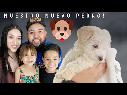 UN NUEVO INTEGRANTE EN LA FAMILIA! 🐶🙊 || FAMILIA SG