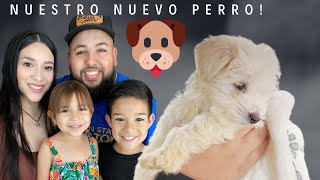 UN NUEVO INTEGRANTE EN LA FAMILIA! 🐶🙊 || FAMILIA SG