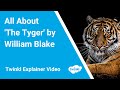 Exploring Themes in 'The Tyger'