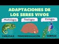Animal Adaptations and Survival Strategies