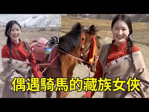 偶遇騎馬的藏族女俠，性情直爽落落大方，帶我體驗藏族生活【王一點】