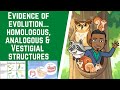 Understanding Comparative Anatomy and Evolution