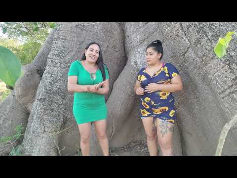 🔴-woow este árbol🌳tendrá muchos años😮 Aniita y esmeralda encontraron algo ⁉️