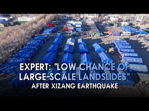 Expert: Low chance of large-scale landslides after Xizang earthquake