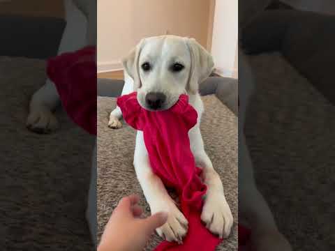 She steal’in! 🤣