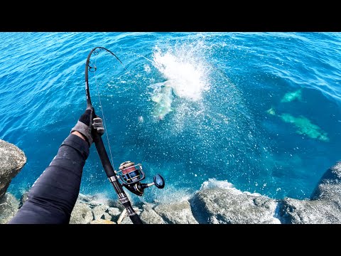 Giant Fish Everywhere 3 Day Fishing Trip 2025