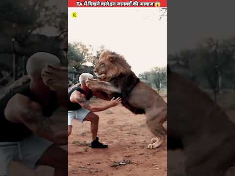 जंगली जानवरों की असली आवाज ?|| Wild Animals Sound ?|| #shorts