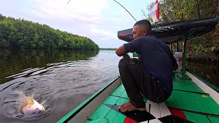 Rejeki tak terduga dapat ikan tirus saat mau pulang mancing
