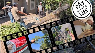 From Ranchero to Rigging: A Day in the Life of an Arborist with Big Goals
