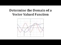 Understanding Domains of Vector-Valued Functions