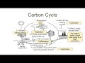 Exploring Biogeochemical Cycles