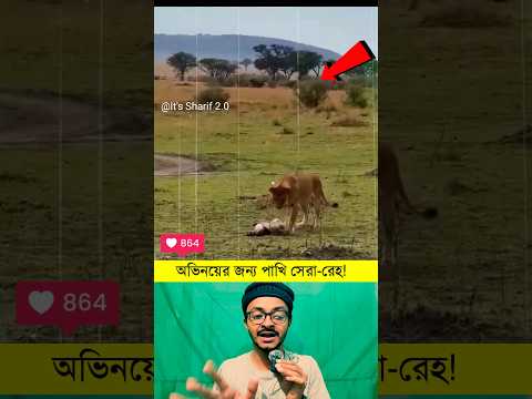 অভিনয়ের জন্য সেরা রেহ #easylifeschool #facts #animalfacts