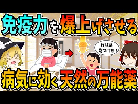 【インフル対策】ありとあらゆる病気に効く、免疫力を爆上げさせる天然の万能薬3選