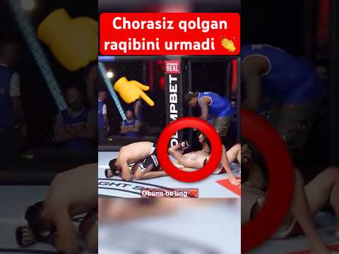 #mma #sports #shorts