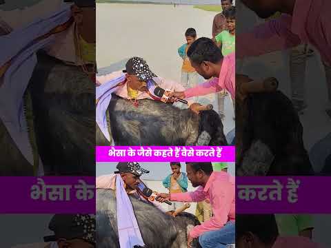 जो जो बादल को कहते हैं वो करते हैं | #youtubeshorts #funny #reelsviral