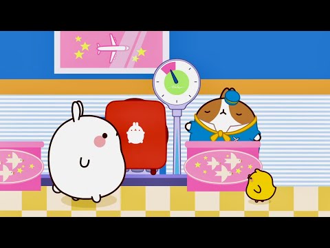 Molang  💚 Chiếc vali  💚 Phim Hoạt Hình Vui Nhộn Cho Trẻ Em