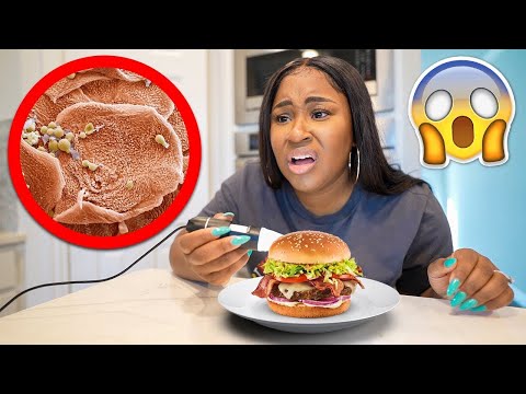 WHAT YOUR FOOD LOOKS LIKE UNDER MICROSCOPE