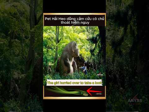 [Review Film] Pet Hải Heo dũng cảm cứu cô chủ thoát hiểm nguy