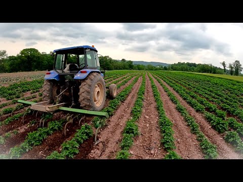 Fighting a HUGE problem in our fields