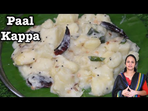 மரவள்ளி கிழங்கு ஒரு முறை இப்படி செய்து பாருங்க சுவை அருமையா இருக்கும் / Paal kappa with coconut milk