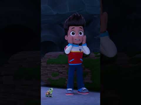 ¡Aprende a ayudar a los cachorros de rescate de PAW Patrol! 🐢