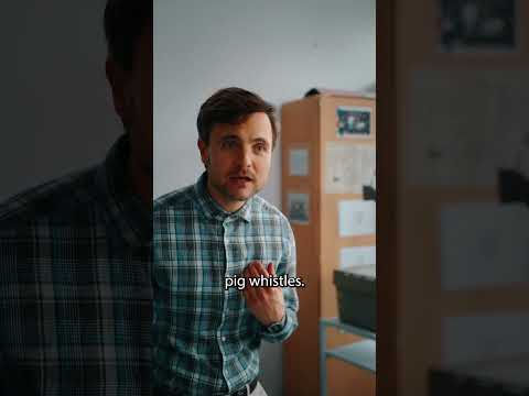 POV: Dein Englischlehrer ist Alman