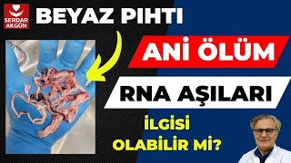 Pıhtı, Aşı, RNA, Covid, Aktüel Sağlık, Prof.Dr.Serdar Akgün