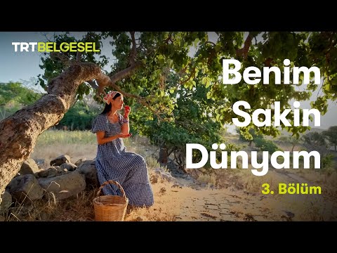 Benim Sakin Dünyam | 3. Bölüm | TRT Belgesel