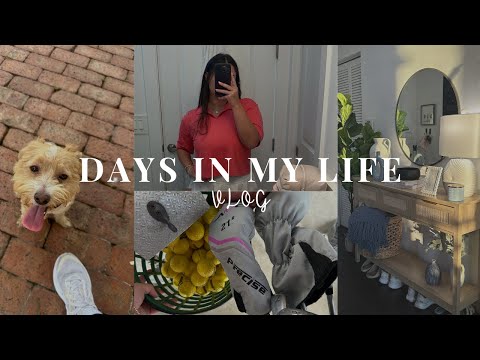 DAYS IN MY LIFE VLOG | shopping at home goods, decorating home, celebrating my boyfriends birthday