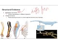 Exploring Evidence of Evolution