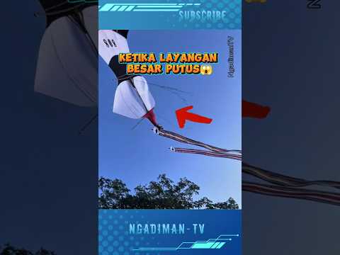 KETIKA LAYANGAN JANGGAN BESAR PUTUS DAN JATUH #shortsvideo #trending #viralvideo #layangan