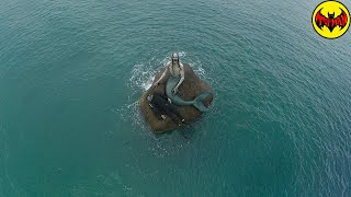 No vas a creer lo que este turista grabó en la orilla
