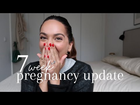 Pregnancy Update - week 7