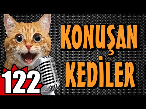Konuşan Kediler 122 - En Komik Kedi Videoları