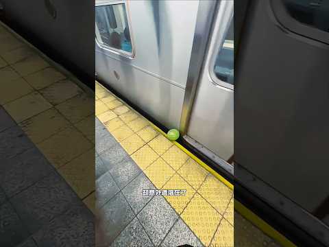 watermelon fell under the train๐~Building Wooden Log Cabin in ForestSurvival House Step by Step 104